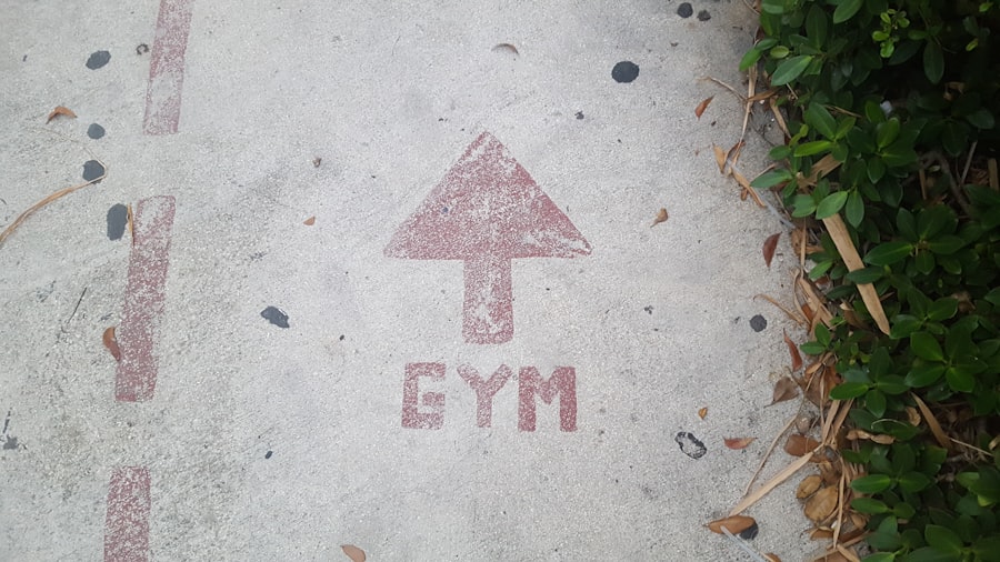 baby gym
