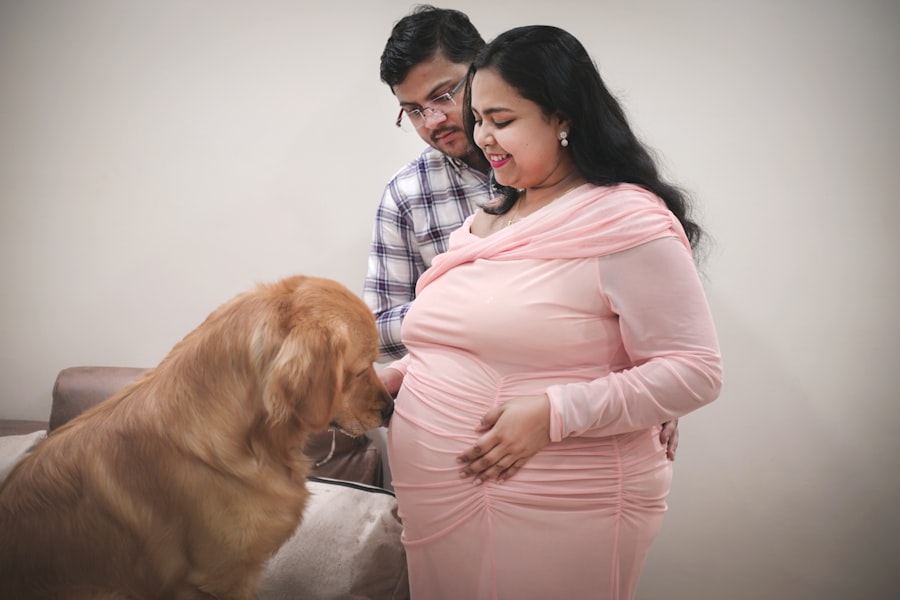 Photo baby plan
