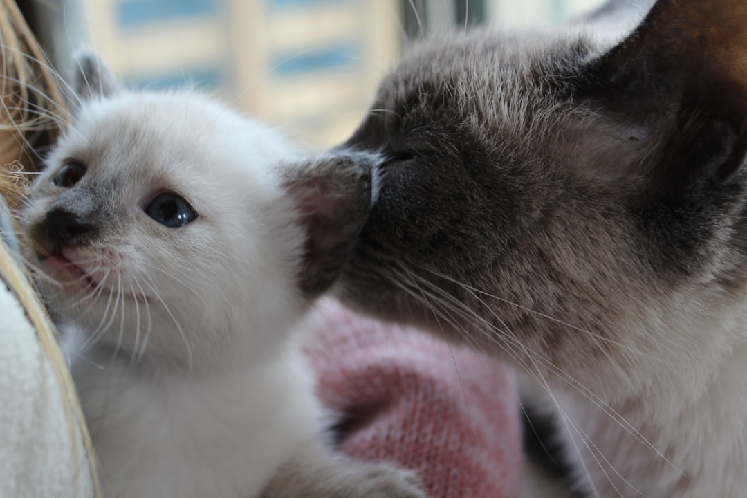 Photo baby bonding